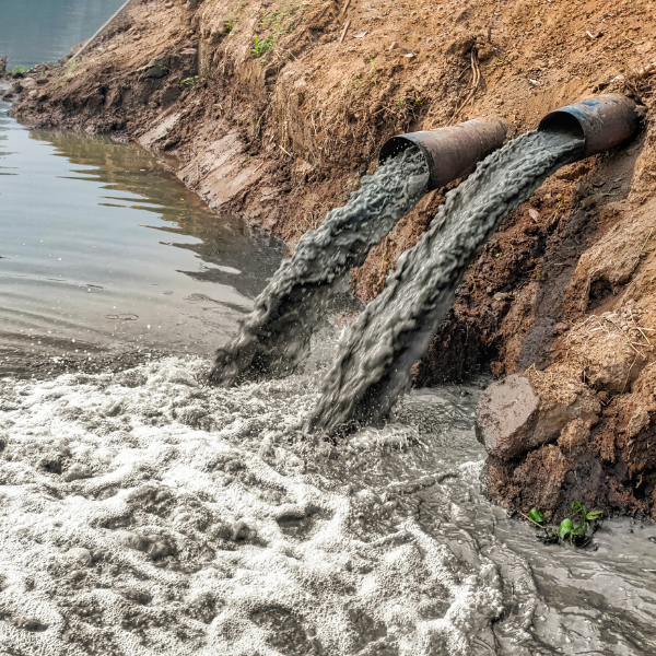 Toxic slug pouring from pipes into a waterway.